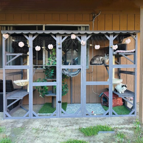 Aivituvin Wall-Mounted Walk-In Catio With Scratch Posts, Bridge, Basket, and Sleeping House
